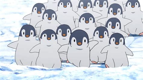 Collection Of Penguins In Anime Part 1 Anime Amino