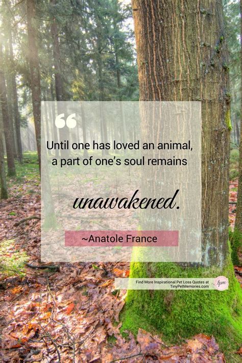 Check spelling or type a new query. "Until one has loved an animal, a part of one's soul remains unawakened." Find this # ...