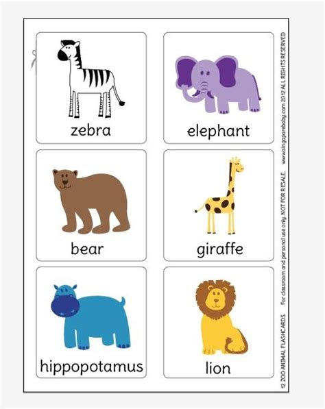 Check spelling or type a new query. Zoo animal flash cards | Zoo | Pinterest