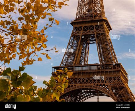 Eiffel Tower With Autumn Leaves In Paris France Stock Photo Alamy