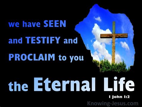 1 John 12 We Have Seen Testify And Proclaim Eternal Life Blue