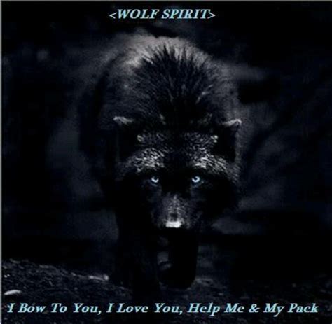 Wolf Spirit Black Wolf Wolf Beautiful Wolves