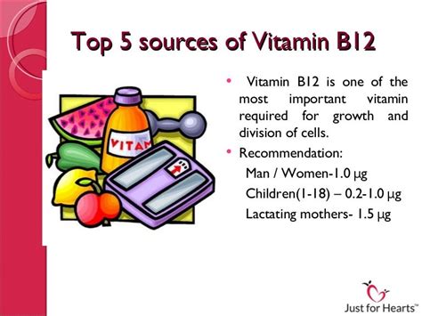 Top 5 Sources Of Vitamin B12