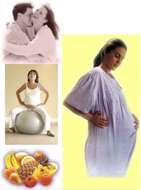 Ejercicios De Estimulacion Prenatal Padres