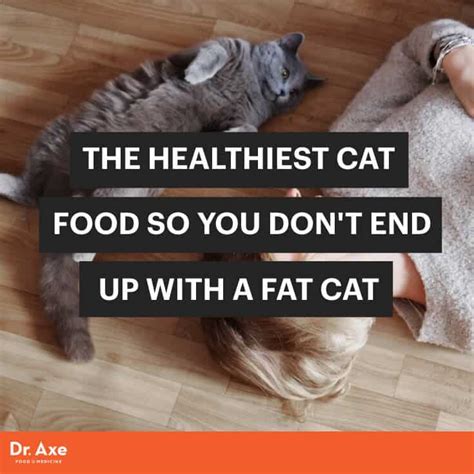 Normally he will eat anything, so it's not a problem, but he will the part of giving the pill to the cat with your hands only. What's the Healthiest Cat Food So We Don't Get Fat Cats ...