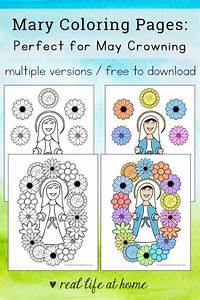 Pin On Free Homeschool Printables And Worksheets