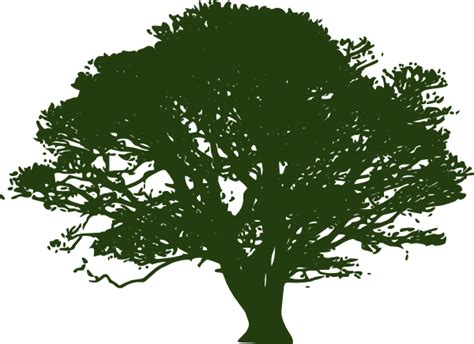 Oak Tree Silhouette Clip Art Library