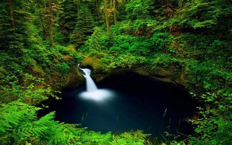 Download Wallpapers Forest Lake Waterfall Punch Bowl Falls Columbia