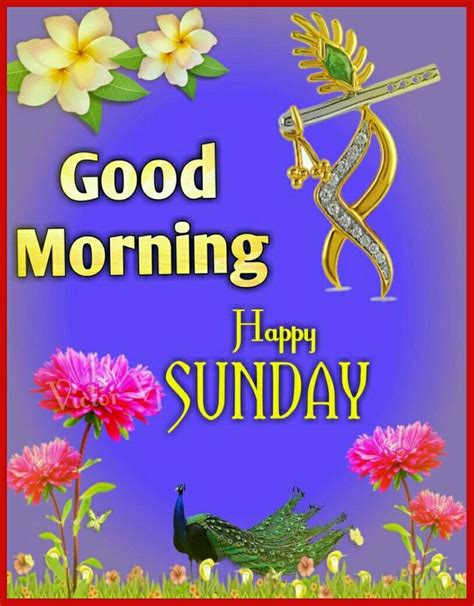 Happy Sunday Saved By Sriram Good Morning Happy Sunday Good Morning