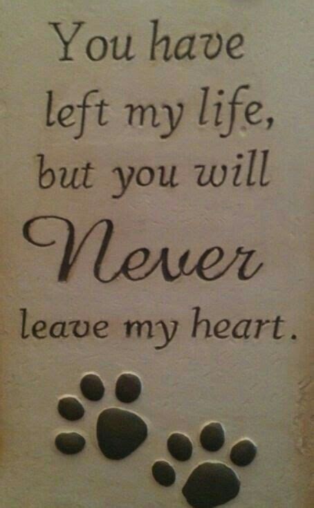 You Have Left My Life But You Will Never Leave My Heart Dog Quotes