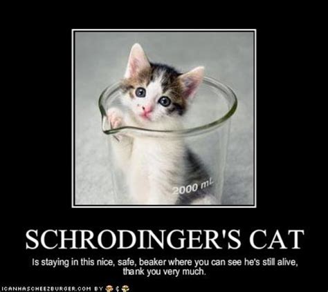 [image 344690] schrodinger s cat know your meme