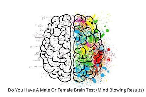 Do You Have A Male Or Female Brain Test Mind Blowing Results Solution Tales