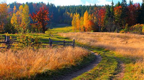 Colorful Autumn Trees Park Fence Brown And Green Pathway White Clouds