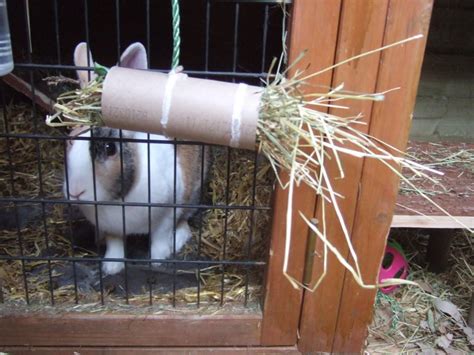 Cardboard Roll Rabbit Hay Toy Farm Camp