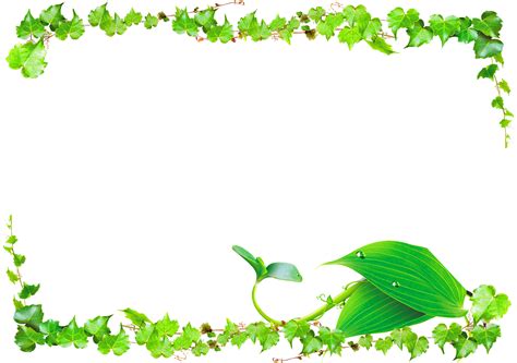 Leaf Green Vine Vines Border Png Download 24501725 Free