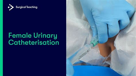 Female Urinary Catheterisation Everything You Need To Know To Perform