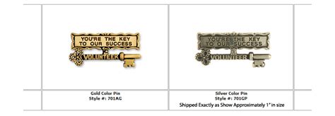 Youre The Key To Success Gold Lapel Pins