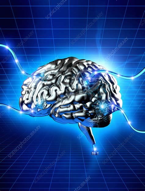 Wired Brain Illustration Stock Image C0395146 Science Photo Library