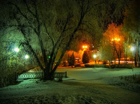 Snow Covered Winter Park At Night