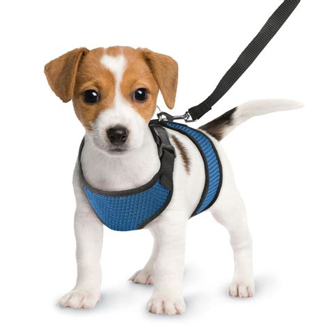 Comfy And Soft Lightweight Dog Harness And Leash Set Collections Etc