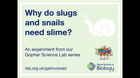 Why Do Slugs And Snails Need Slime Royal Society Of Biology Youtube