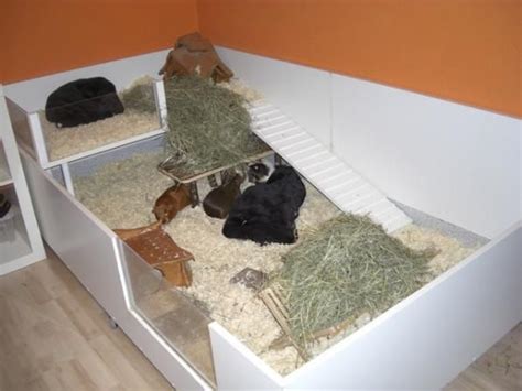 Ein schrank kann zu verschiedenen sachen umgebaut werden: Individuelle Möbel selber bauen | Meerschweinchen gehege ...