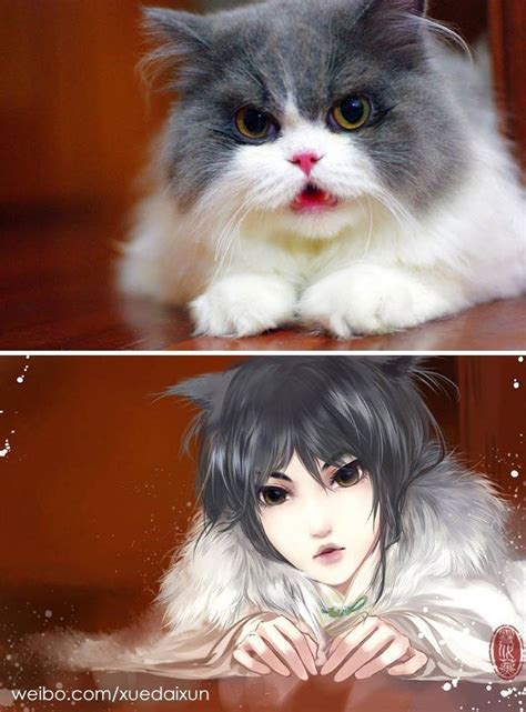 Chinese Artist Imagines How Cats And Dogs Would Look Like If They Were