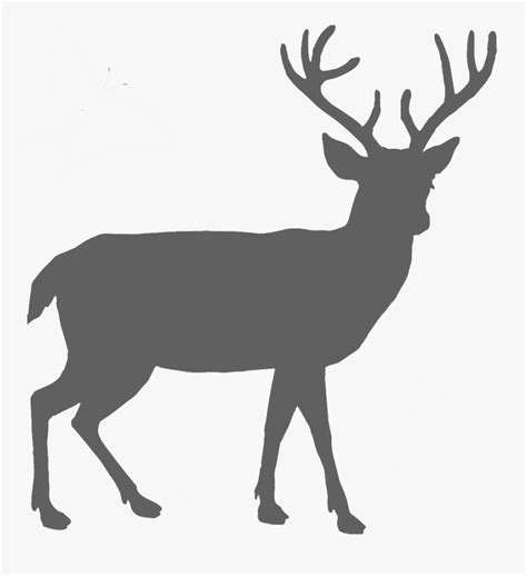 Deer Svg Clipart Digital Art Animals Cut File Images Vector Deer