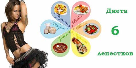 Вк диета 6 лепестков Диета "Шесть лепестков", меню на каждый день, результаты диеты Диета "Шесть лепестков", меню на каждый день, результаты диеты Вк диета 6 лепестков