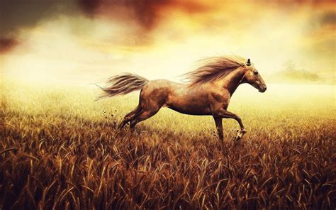 We present you our collection of desktop wallpaper theme: Running Horses Wallpaper (63+ images)