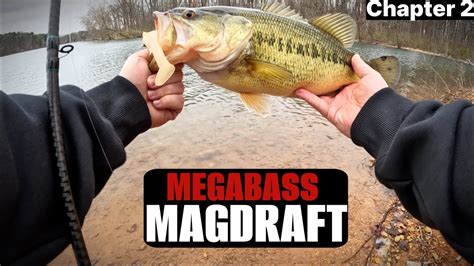 The Megabass Magdraft Freestyle Swimbait Catches Bass Chpt 2 YouTube