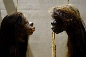 Uk, Museum, In, Oxford, Removes, Shrunken, Heads, From, Display