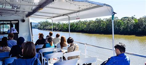 Lone Pine Koala Sanctuary And Cruise Package Experience Oz