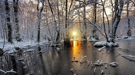 Nature Landscape Cold Winter Sunrise Snow Forest