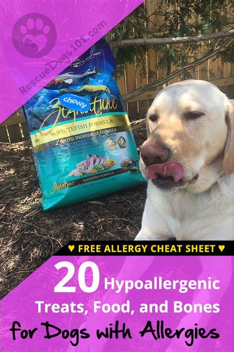 A food allergy occurs when the body has a specific and reproducible immune response to certain foods. Top 20 Hypoallergenic Treats, Food, and Bones for Dogs ...
