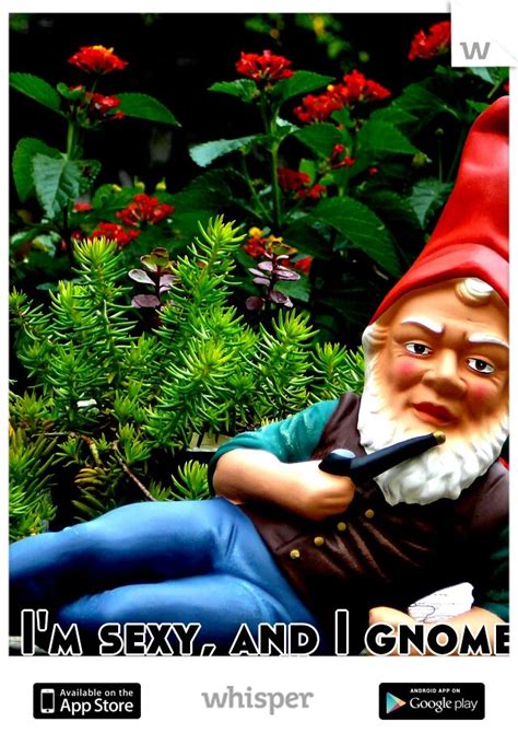 I M Sexy And I Gnome It My First Meme Gnomes Sexy Diy Crafts