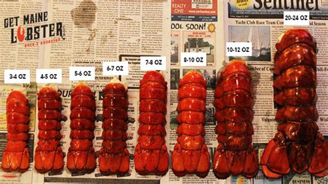 Lobster Chart Sweetness And Tenderness Relative To Size Get Maine