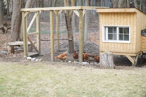 Chicken Coop Designs That Are Stylish Bees And Roses