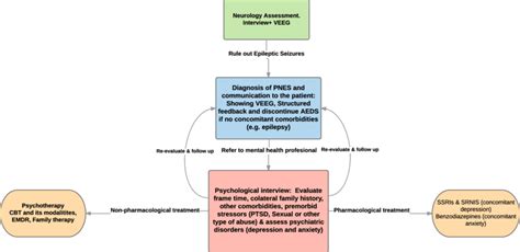 Diagnostic And Management Algorithm For Psychogenic Non Epileptic Download Scientific Diagram