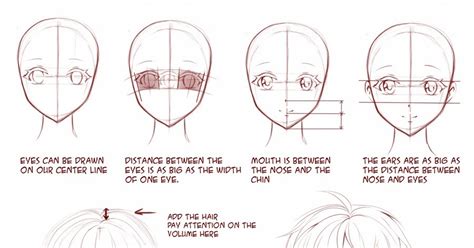 Japanese Anime Art Anime Anatomy Basic Drawing Tutorial