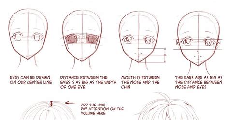 At least a letter sized paper. Anime anatomy basic drawing tutorial | JAPANESE ANIME ART