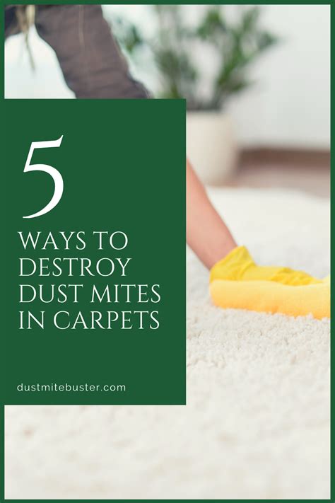 5 Ways To Destroy Dust Mites In Carpets Dust Mites Mites Dust Mite