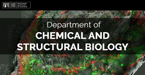 Department Of Chemical And Structural Biology