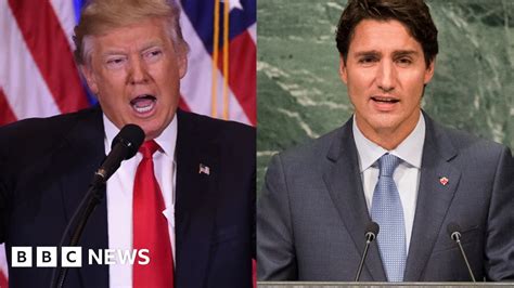 Trump And Trudeau Discuss Border Co Operation Bbc News