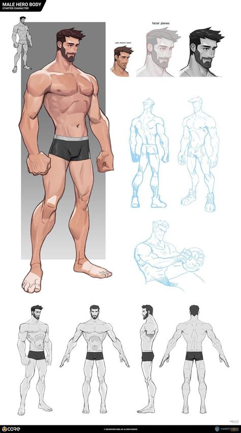 Male Hero Body Character Design Sketches Character Design Animation