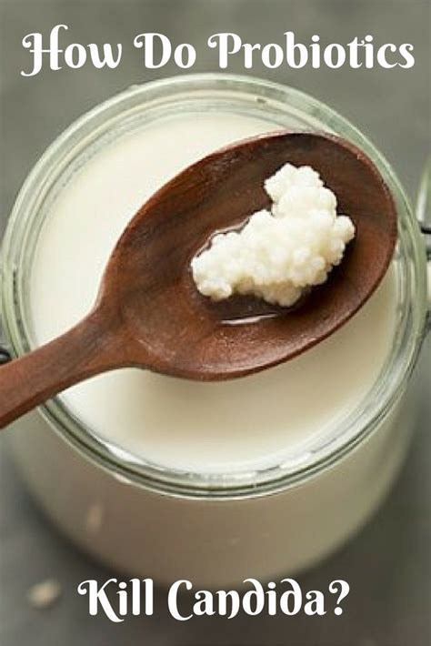 How Do Probiotics Kill Candida Beat Candida Treat Yeast Infection