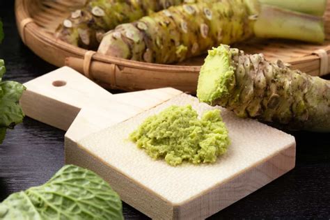 Can Dogs Eat Wasabi Benefits And Risks Of Dogs Eating Wasabi