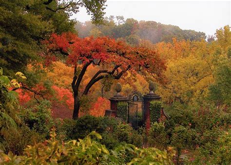 25 places around dc to take beautiful fall photos washingtonian dc autumn garden