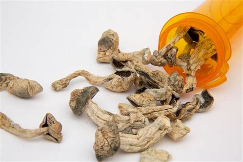 Understanding The Buzz About Magic Mushrooms A Look At How Psilocybin