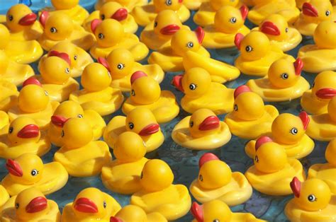 Your Guide To Rubber Duck Debugging Kerv